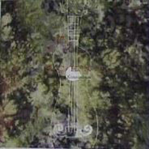 男男调教捆绑鞭打束缚塑身衣
