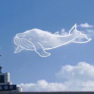 男男调教捆绑鞭打束缚塑身衣
